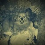 Robert Cumberledge - @robertcumberledge - Instagram