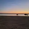 Robert Cummings433 - @robertcummings433 - TikTok