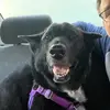 Robert Cummings - @tripod_romeo - TikTok