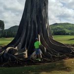 Robert duane cupp - @robertduanecupp - Instagram