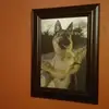 robertcurlett - @robertcurlett - TikTok