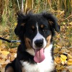 Robert Cuesters - @robertcusters - Instagram