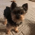 Robert Custer Jr - @robertcusterjr - Instagram
