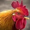 robertcuster617 - @robertcuster617 - TikTok