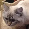 Robert Czechowski - @robert.czechowski - TikTok