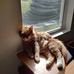 Robert Dabbs - Facebook