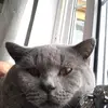 robertdabbs09 - @robertdabbs09 - TikTok