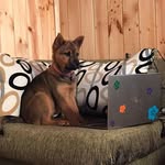 Roberto A. Dachardi J. - @robertodachardi - Instagram