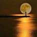 Robert Dalbey - Facebook