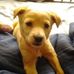 Robert Dalbey - Facebook