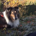 Robert Dalen - @robert_dalen - Instagram