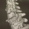 dallala robert - @dallala.robert - TikTok