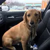 Robert D'Ambrosio - @robert.dambrosio - TikTok