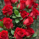 Robert K. Dame - Facebook