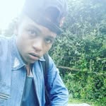 Robert van dame - @robert_van_dame - Instagram