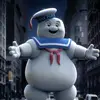 Robert Damm - @robertdamm - TikTok