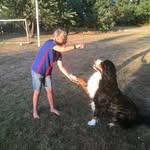 Robert Damm Christensen - @robert_damm_christensen - Instagram