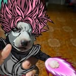 Robert_danger - @robert_dangerxd - Instagram