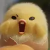 Robert.Danielsen - @robertdanielsenhtcymn - TikTok