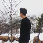 Robert Daoud - @robert.daoud.564 - Instagram