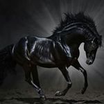 Robert Gary Dargan - @robertgarydargan - Instagram