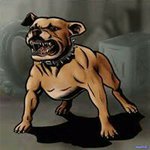 Robert Darroch Jr - @robert.darrochjr - Instagram