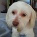 Robert Darrow - Facebook