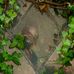 Robert Dartt Webster - Facebook