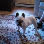 Bob Daum - @daum.robert - Instagram