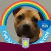 Robert Deakin725 - @robertdeakin725 - TikTok