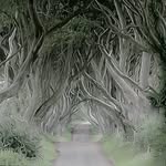 robert Deakin - @rob_deakin_photography - Instagram