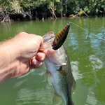Robert Deaner - @deanerfishing - Instagram