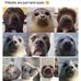 Robert Deardorff - Facebook