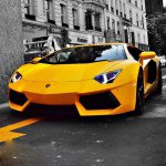 Robert Decker - @robert_decker06 - Instagram