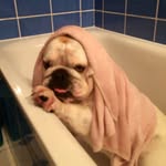 Robert Decker - @robertdecker893 - Instagram