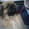 Robert Decker - @robert.decker68 - TikTok