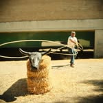 Robert Decker - @robertdecker1985 - Instagram