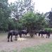 Robert de Clerck - Facebook