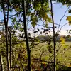 🇬🇧🌲Robert Deepcut - @robertdeepcut - TikTok