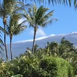 Robert DeFoe - @rbdmaui - Instagram