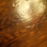 Robert Dehner - @robertdehner27 - Instagram
