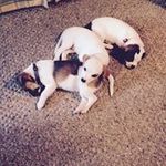 Robert Delaney - @delaney_robert - Instagram
