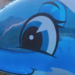 delfinek_robert - @delfinek_robert - Instagram
