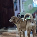 Robert Delfin - Facebook