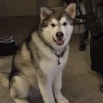 Robert Delich - @robertdelich - Instagram