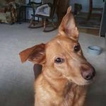 Robert Demaine - @robertdemaine - Instagram