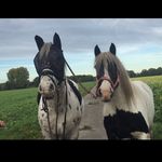 Robert & Cathy - @robert_derknabstrupper - Instagram