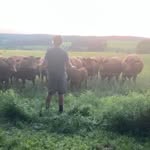 Robert Desanto - @desanto_robert - Instagram