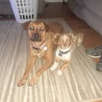 Robert DeSanto - Facebook