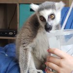 Robert Devault - @robert.devault.102 - Instagram